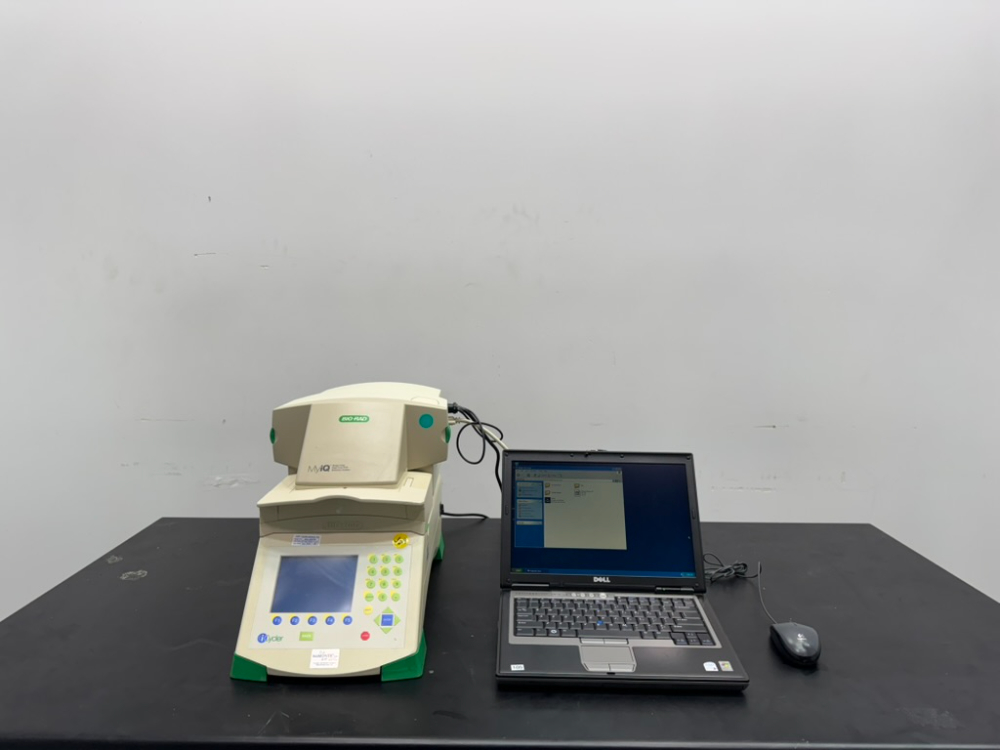 Image of Bio-Rad iCycler Thermal Cycler